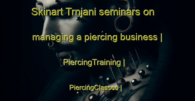 Skinart Trnjani seminars on managing a piercing business | PiercingTraining | PiercingClasses | SkinartTraining-Bosnia and Herzegovina
